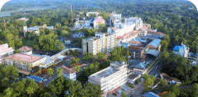 caritas hospital
